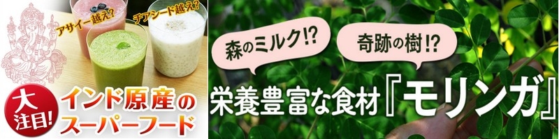 �������K�̐`in���_�ۏ��T�C�g